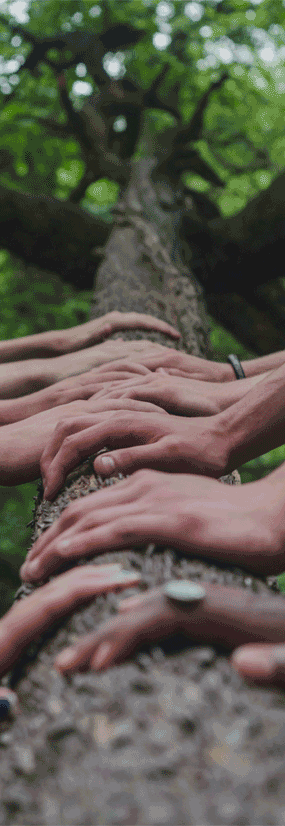 shane-rounce-DNkoNXQti3c-unsplash1